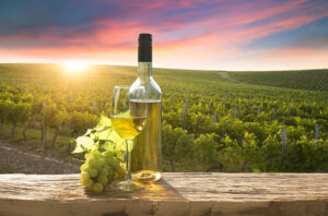Napa & Sonoma Fine Dining Chauffeur Transfers – Luxury Evening Transport for Michelin Star Restaurants (707) 536-1939